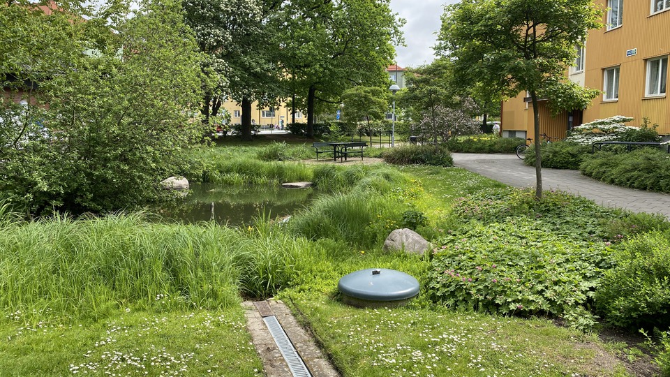 Exempel på klimatanpassning med blågröna lösningar i bostadsområdet Augustenborg i Malmö. Fastigheter som tidigare ofta drabbades av översvämningar från ett överfyllt avloppssystem har förnyats med dräneringssystem inklusive vattenkanaler och fördröjningsdammar som leder bort regnvatten. 