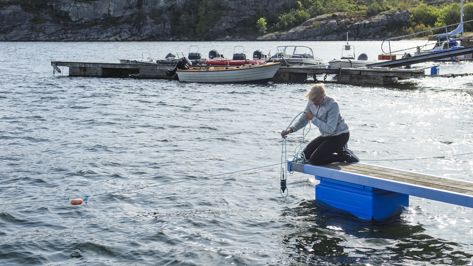 Anna-Sara Krång tar prover i havet