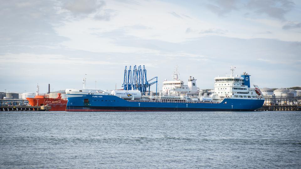 En vit-blå fartyg som står i hamn 
